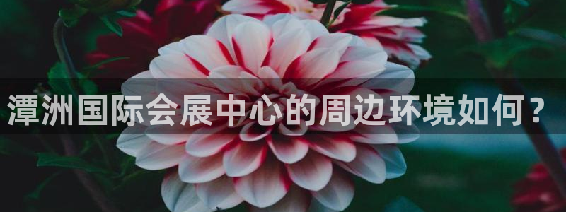 果博客服联系电话